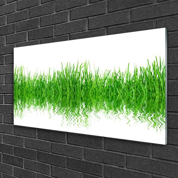 Skleneny obraz Tráva rastlina príroda 100x50 cm 2 Prívesky