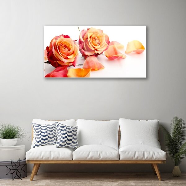 Skleneny obraz Ruže kvety rastlina 100x50 cm 2 Prívesky