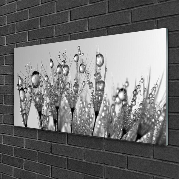 Skleneny obraz Abstrakcie rastlina príroda 100x50 cm 2 Prívesky