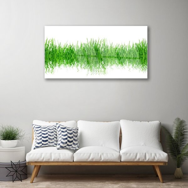 Skleneny obraz Tráva rastlina príroda 100x50 cm 2 Prívesky