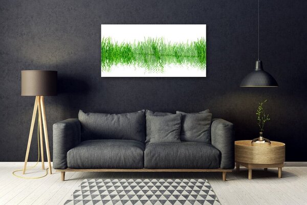 Skleneny obraz Tráva rastlina príroda 100x50 cm 2 Prívesky
