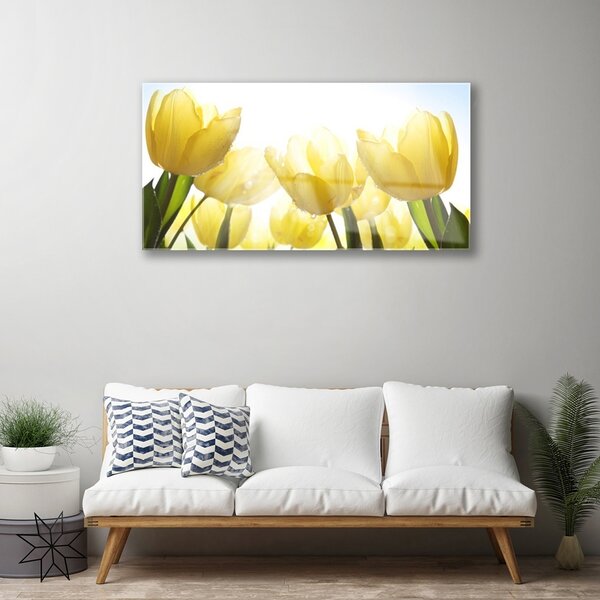 Skleneny obraz Tulipány kvety lúče 100x50 cm 2 Prívesky