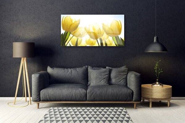 Skleneny obraz Tulipány kvety lúče 100x50 cm 2 Prívesky