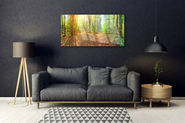 Skleneny obraz Slnko príroda lesné chodník 100x50 cm 2 Prívesky