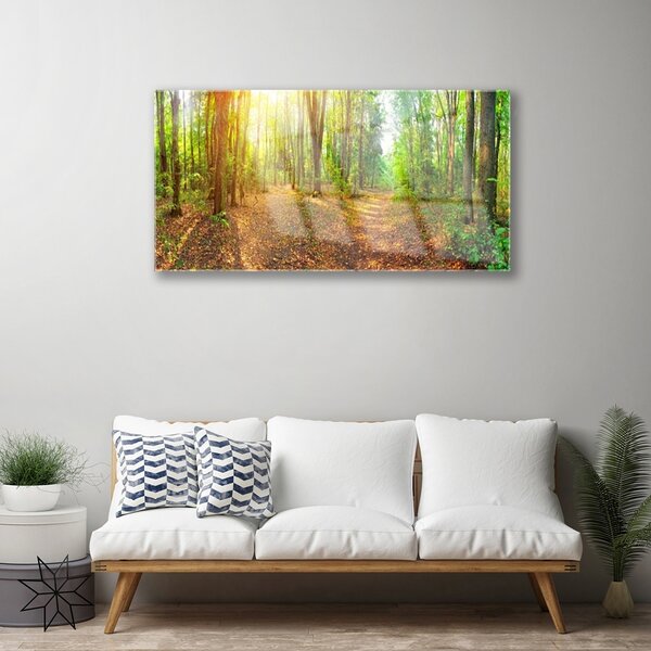 Skleneny obraz Slnko príroda lesné chodník 100x50 cm 2 Prívesky