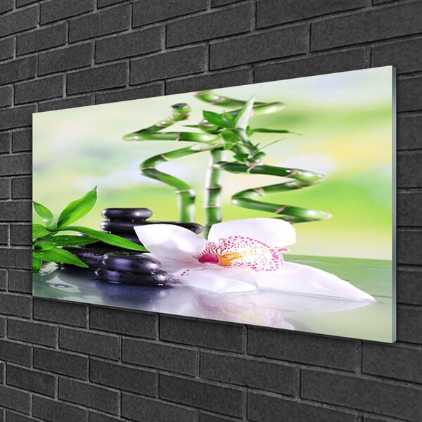 Skleneny obraz Orchidea bambus zen kúpele 100x50 cm 2 Prívesky