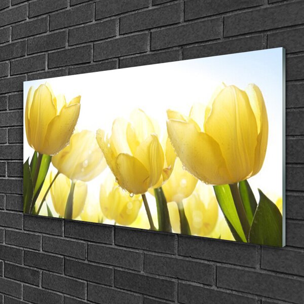 Skleneny obraz Tulipány kvety lúče 100x50 cm 2 Prívesky