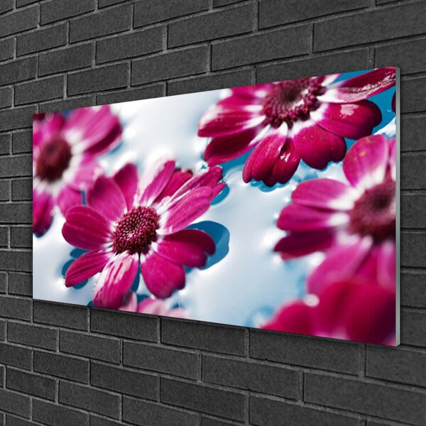 Skleneny obraz Kvety na vode príroda 100x50 cm 2 Prívesky
