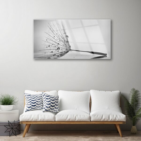 Skleneny obraz Púpava semienka 100x50 cm 2 Prívesky