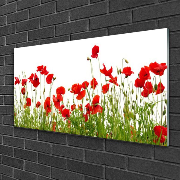 Skleneny obraz Lúka maky kvety príroda 100x50 cm 2 Prívesky