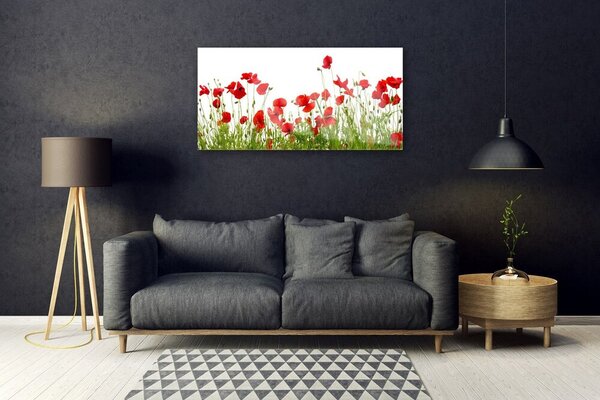 Skleneny obraz Lúka maky kvety príroda 100x50 cm 2 Prívesky