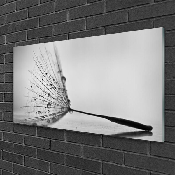 Skleneny obraz Púpava semienka 100x50 cm 2 Prívesky