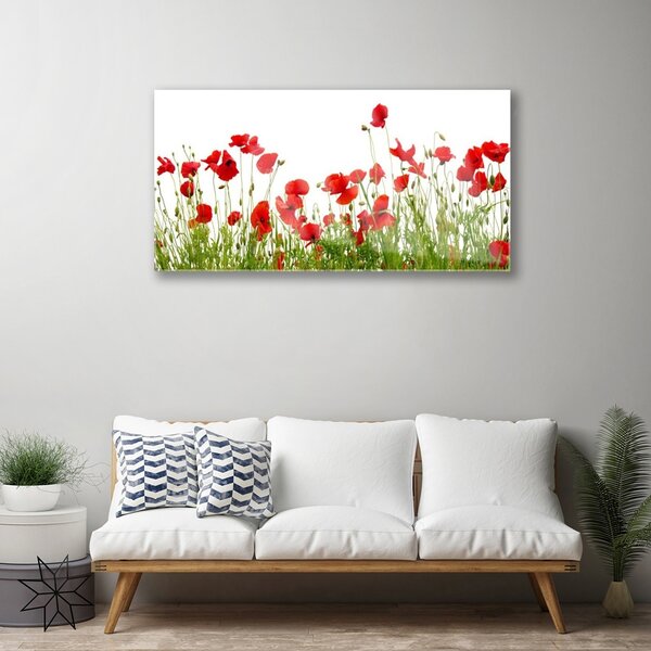 Skleneny obraz Lúka maky kvety príroda 100x50 cm 2 Prívesky