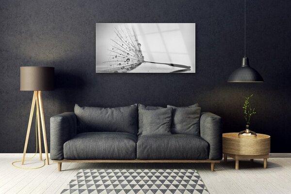 Skleneny obraz Púpava semienka 100x50 cm 2 Prívesky