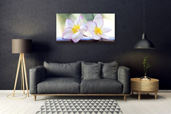 Skleneny obraz Kvety plátky plumérie 100x50 cm 2 Prívesky