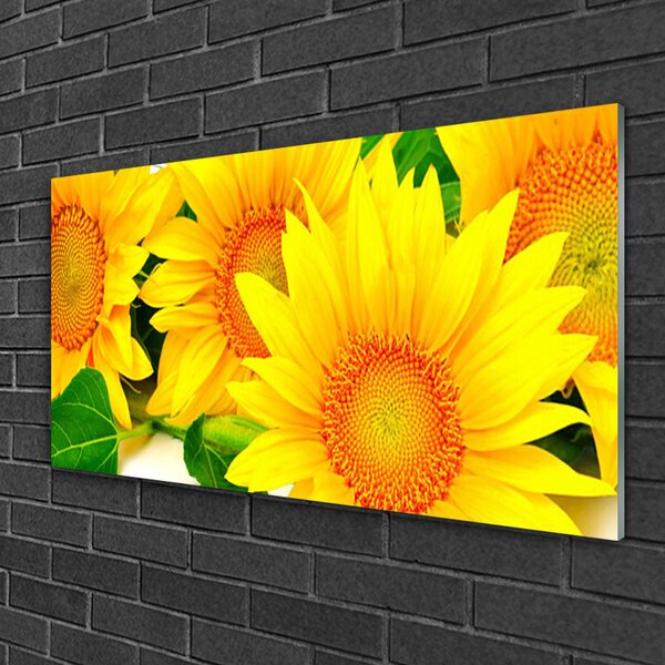 Skleneny obraz Slnečnica kvet príroda 100x50 cm 2 Prívesky