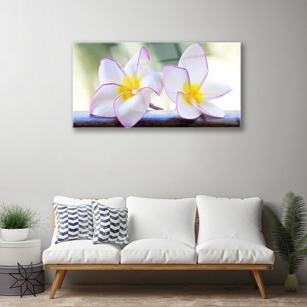 Skleneny obraz Kvety plátky plumérie 100x50 cm 2 Prívesky