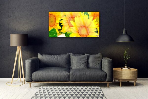 Skleneny obraz Slnečnica kvet príroda 100x50 cm 2 Prívesky