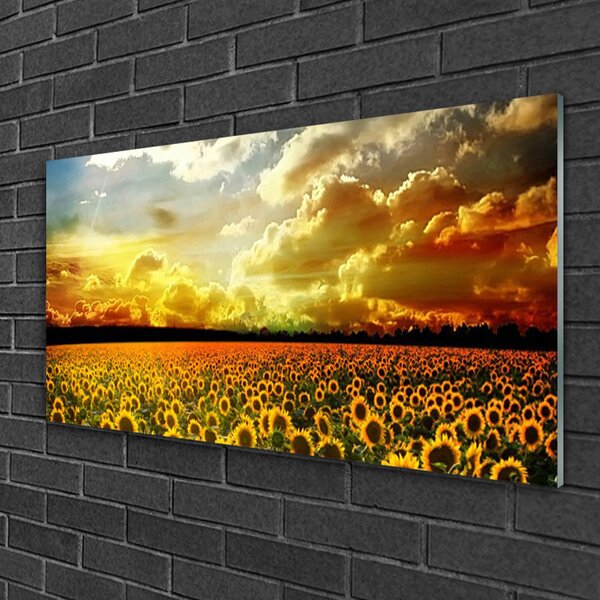 Skleneny obraz Pole slnečníc krajina 100x50 cm 2 Prívesky