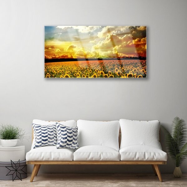 Skleneny obraz Pole slnečníc krajina 100x50 cm 2 Prívesky