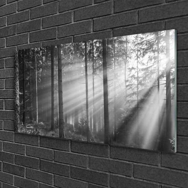 Skleneny obraz Les príroda lúče slnka 100x50 cm 2 Prívesky