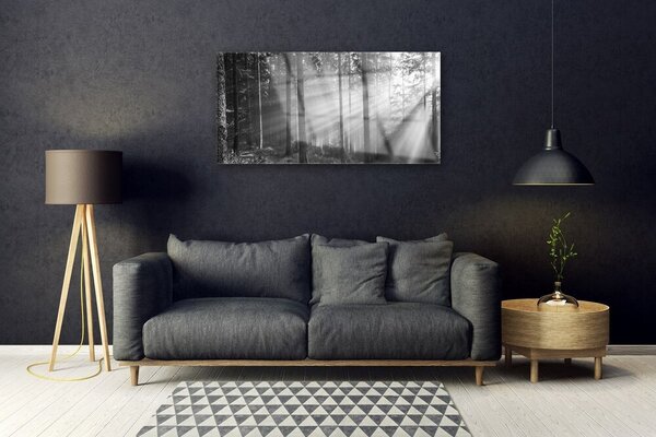 Skleneny obraz Les príroda lúče slnka 100x50 cm 2 Prívesky