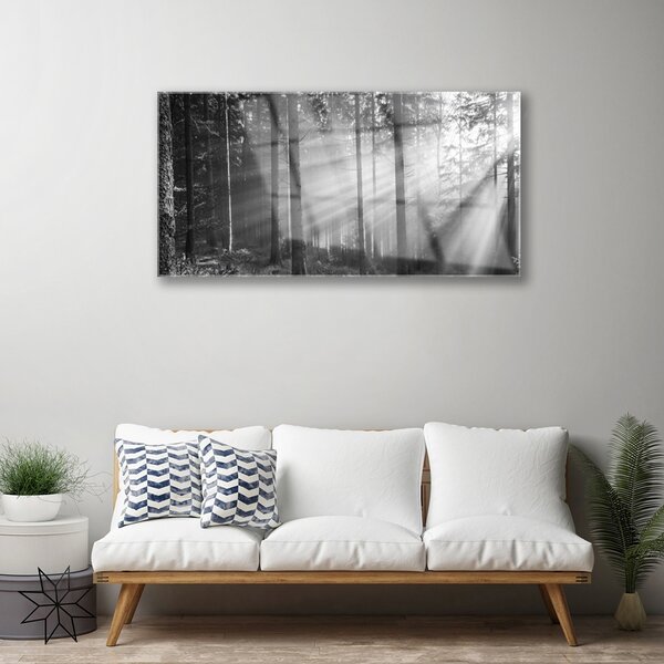 Skleneny obraz Les príroda lúče slnka 100x50 cm 2 Prívesky
