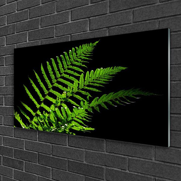 Skleneny obraz Sladič papradie listy 100x50 cm 2 Prívesky