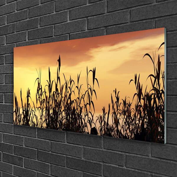 Skleneny obraz Listy západ lúka pole 100x50 cm 2 Prívesky