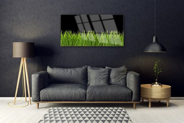 Skleneny obraz Zelená tráva príroda 100x50 cm 2 Prívesky