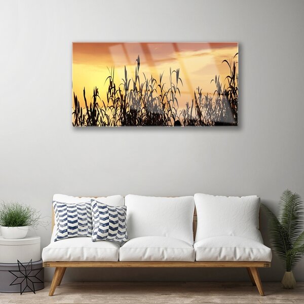 Skleneny obraz Listy západ lúka pole 100x50 cm 2 Prívesky