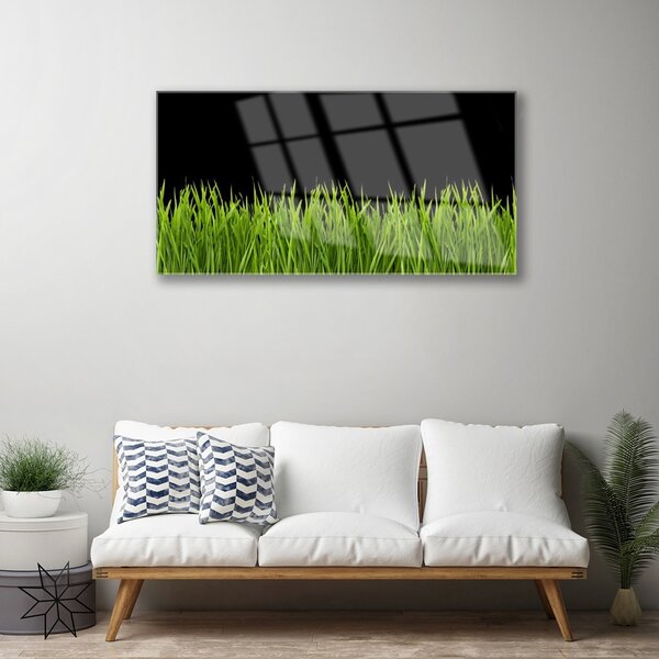 Skleneny obraz Zelená tráva príroda 100x50 cm 2 Prívesky