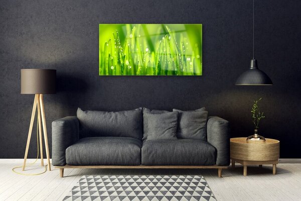 Skleneny obraz Zelená tráva kvapky rosy 100x50 cm 2 Prívesky