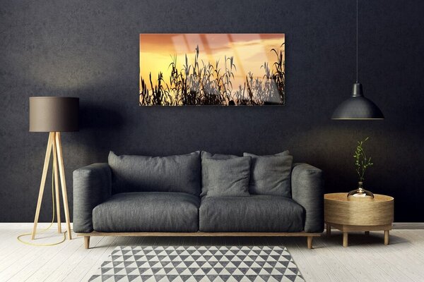 Skleneny obraz Listy západ lúka pole 100x50 cm 2 Prívesky