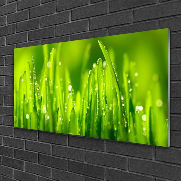 Skleneny obraz Zelená tráva kvapky rosy 100x50 cm 2 Prívesky