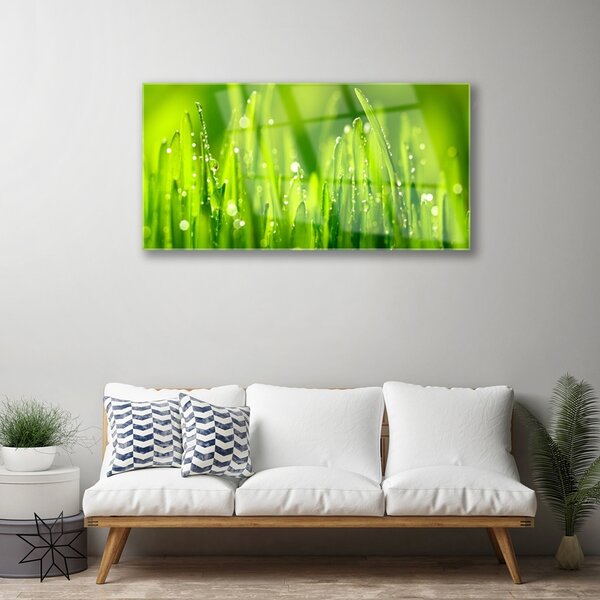 Skleneny obraz Zelená tráva kvapky rosy 100x50 cm 2 Prívesky