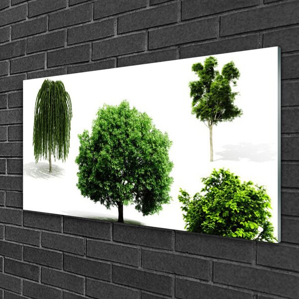 Skleneny obraz Stromy príroda 100x50 cm 2 Prívesky