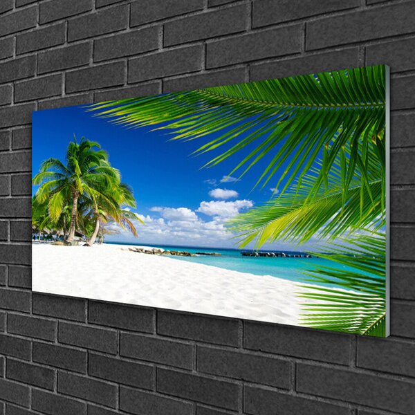Skleneny obraz Tropická pláž more výhľad 100x50 cm 2 Prívesky