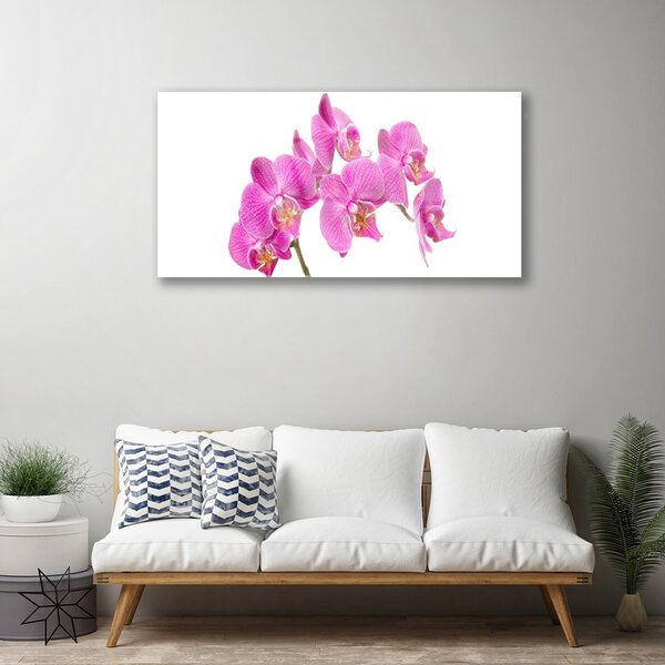 Skleneny obraz Orchidea kvety príroda 100x50 cm 2 Prívesky