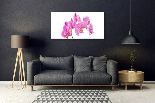 Skleneny obraz Orchidea kvety príroda 100x50 cm 2 Prívesky