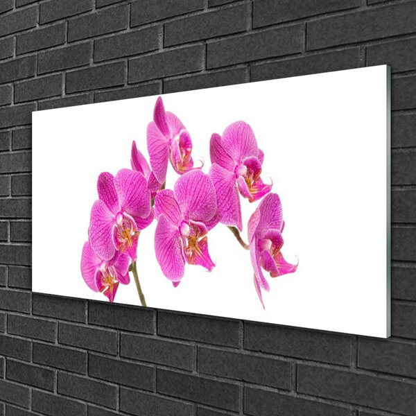 Skleneny obraz Orchidea kvety príroda 100x50 cm 2 Prívesky