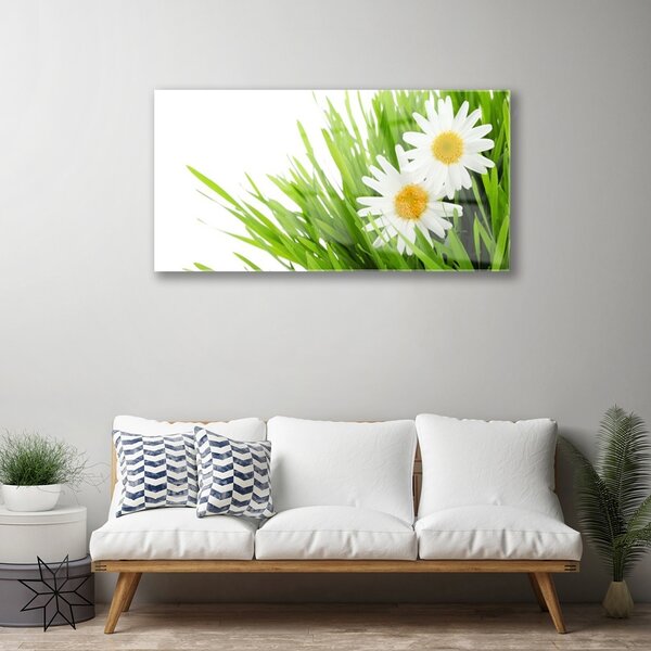 Skleneny obraz Sedmokráska kvet príroda 100x50 cm 2 Prívesky