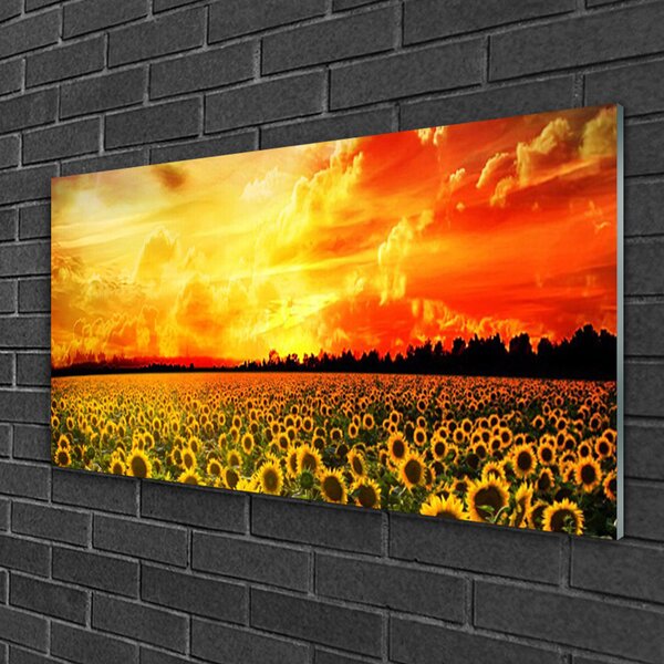 Skleneny obraz Lúka slnečnica kvety 100x50 cm 4 Prívesky
