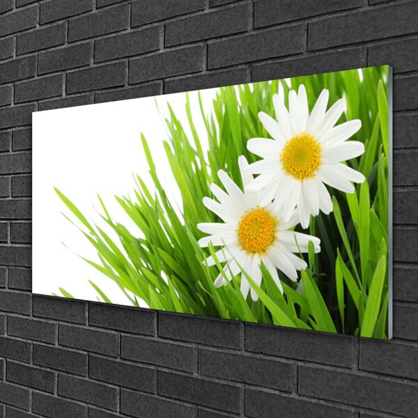 Skleneny obraz Sedmokráska kvet príroda 100x50 cm 2 Prívesky