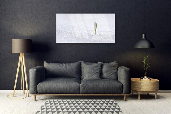 Skleneny obraz Snežienka sneh zima 100x50 cm 2 Prívesky