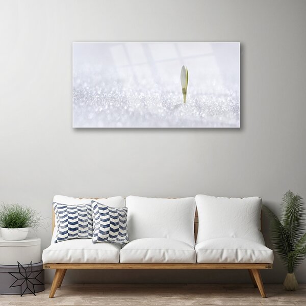 Skleneny obraz Snežienka sneh zima 100x50 cm 2 Prívesky