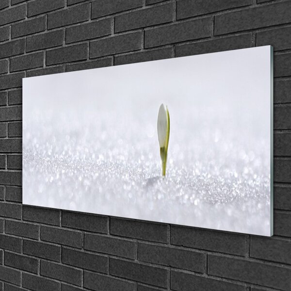Skleneny obraz Snežienka sneh zima 100x50 cm 2 Prívesky