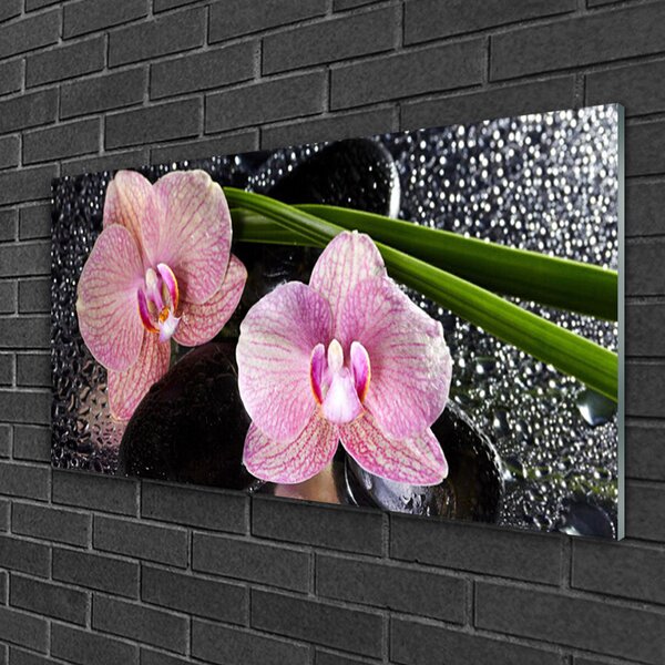 Skleneny obraz Kvety orchidea kamene zen 100x50 cm 2 Prívesky