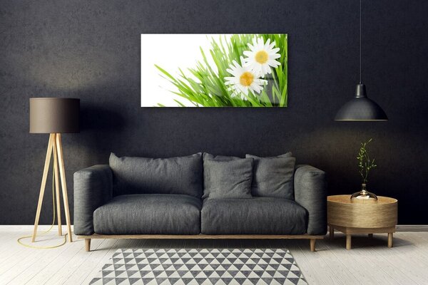 Skleneny obraz Sedmokráska kvet príroda 100x50 cm 2 Prívesky