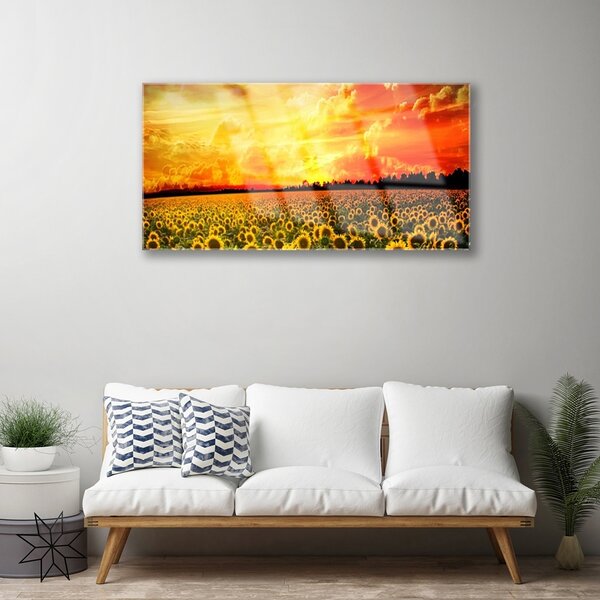 Skleneny obraz Lúka slnečnica kvety 100x50 cm 4 Prívesky